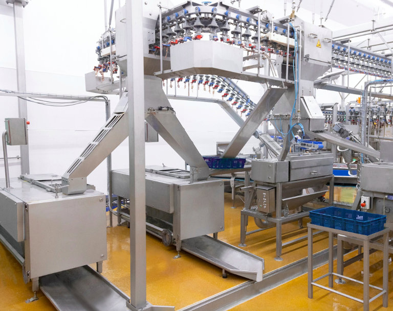 MAREL OFFERS TECHNOLOGY FOR OPTIMUM CARCASS BALANCE